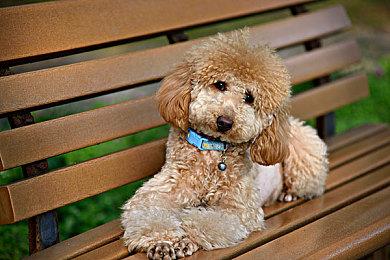 《前线任务1重制版》Steam页面上线 6月30日发售